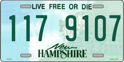 NH license plate 1179107