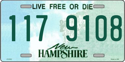 NH license plate 1179108