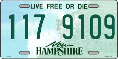 NH license plate 1179109
