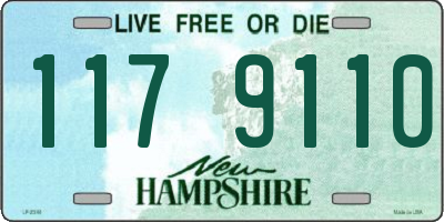 NH license plate 1179110
