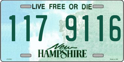 NH license plate 1179116