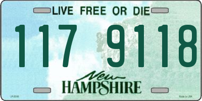 NH license plate 1179118