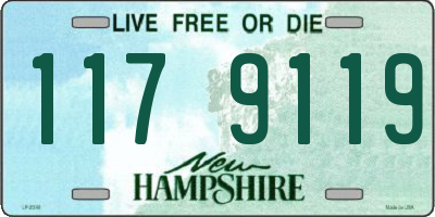 NH license plate 1179119