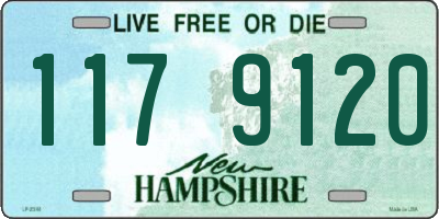 NH license plate 1179120