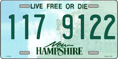 NH license plate 1179122