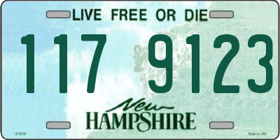 NH license plate 1179123