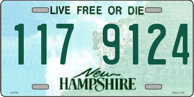 NH license plate 1179124