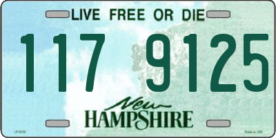 NH license plate 1179125