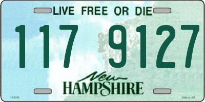 NH license plate 1179127