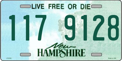 NH license plate 1179128