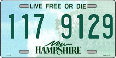 NH license plate 1179129