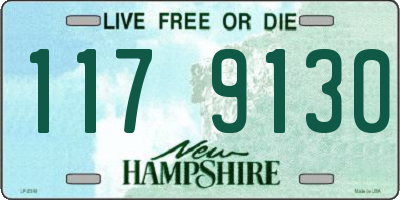 NH license plate 1179130