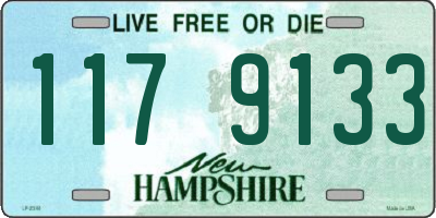 NH license plate 1179133