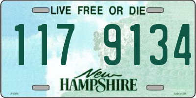 NH license plate 1179134