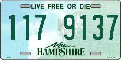 NH license plate 1179137