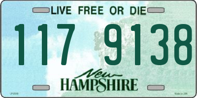 NH license plate 1179138