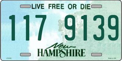 NH license plate 1179139