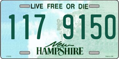 NH license plate 1179150