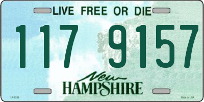 NH license plate 1179157