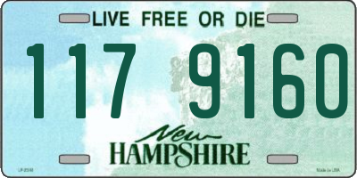 NH license plate 1179160