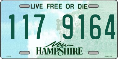 NH license plate 1179164