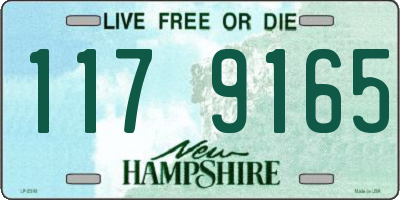 NH license plate 1179165