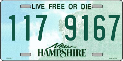 NH license plate 1179167