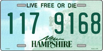 NH license plate 1179168