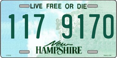 NH license plate 1179170
