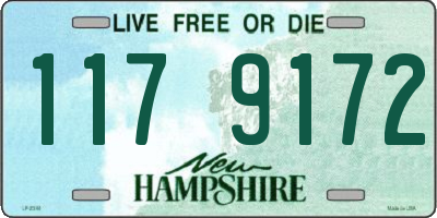 NH license plate 1179172