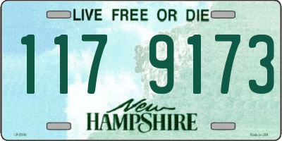 NH license plate 1179173