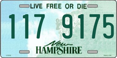 NH license plate 1179175