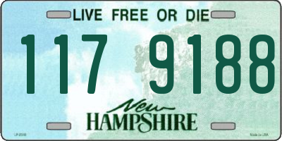 NH license plate 1179188