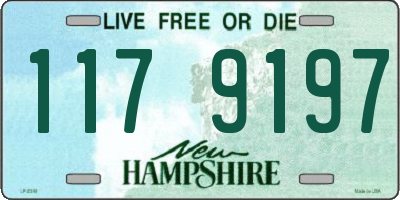 NH license plate 1179197