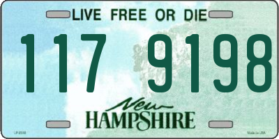 NH license plate 1179198