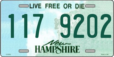 NH license plate 1179202