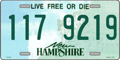 NH license plate 1179219