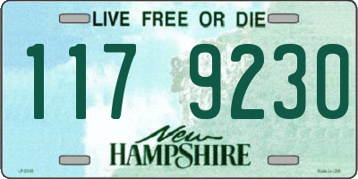 NH license plate 1179230