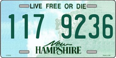 NH license plate 1179236