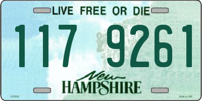 NH license plate 1179261