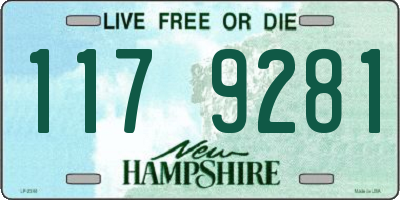 NH license plate 1179281