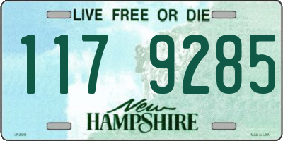 NH license plate 1179285