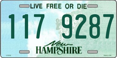 NH license plate 1179287