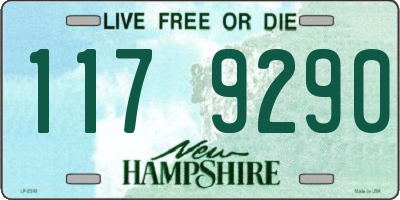 NH license plate 1179290