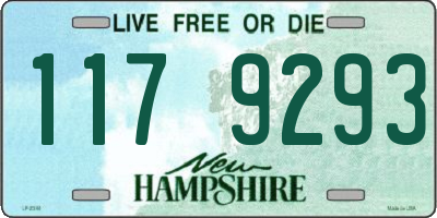 NH license plate 1179293
