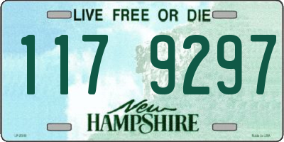 NH license plate 1179297