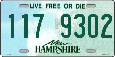 NH license plate 1179302