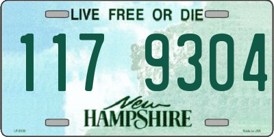 NH license plate 1179304