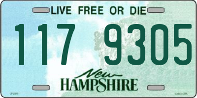 NH license plate 1179305