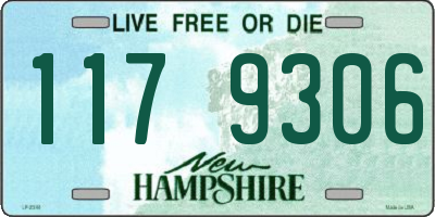 NH license plate 1179306